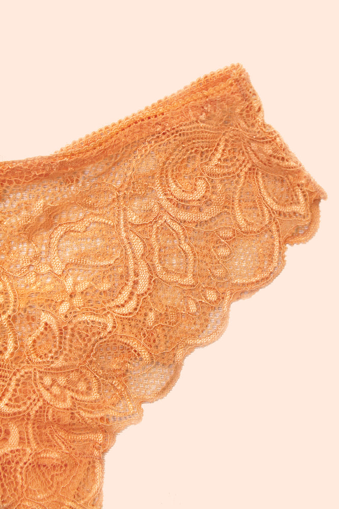 Venus Lace Hipster - ALAMAE