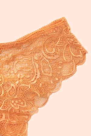 Venus Lace Hipster - ALAMAE